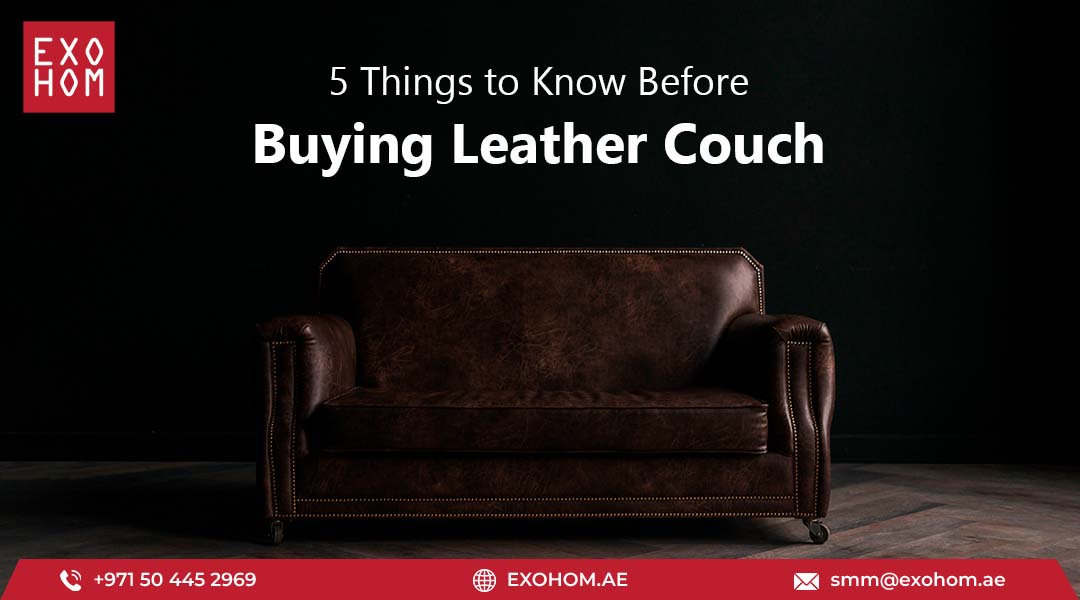 5 Things to Know Before Buying a Leather Couch | Exohom Tips
